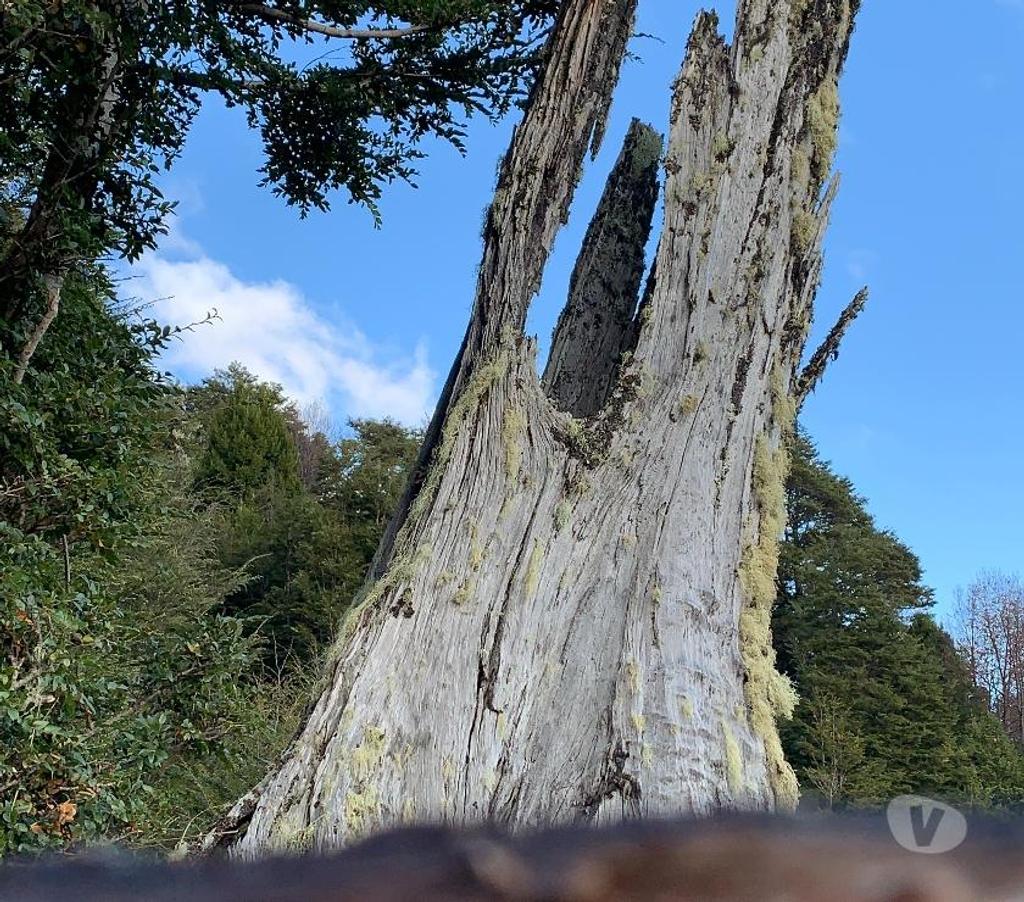 Parcelas en Venta Valdivia Panguipulli - Fotos de Vendo Parcelas, sector Termas Geométricas