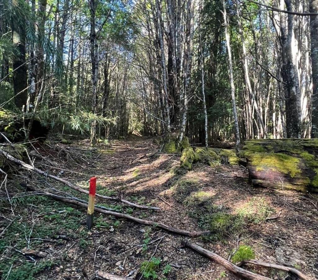 Parcelas en Venta Valdivia Panguipulli - Fotos de Vendo Parcelas, sector Termas Geométricas