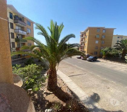 Casas en venta Arica Arica - Fotos de Venta de Departamento 2° Piso - Puerta Pacífico 4