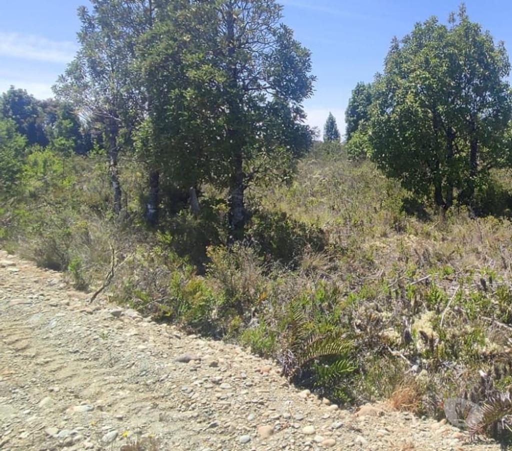 Parcelas en Venta Llanquihue Calbuco - Fotos de Invierte donde tu dinero crece