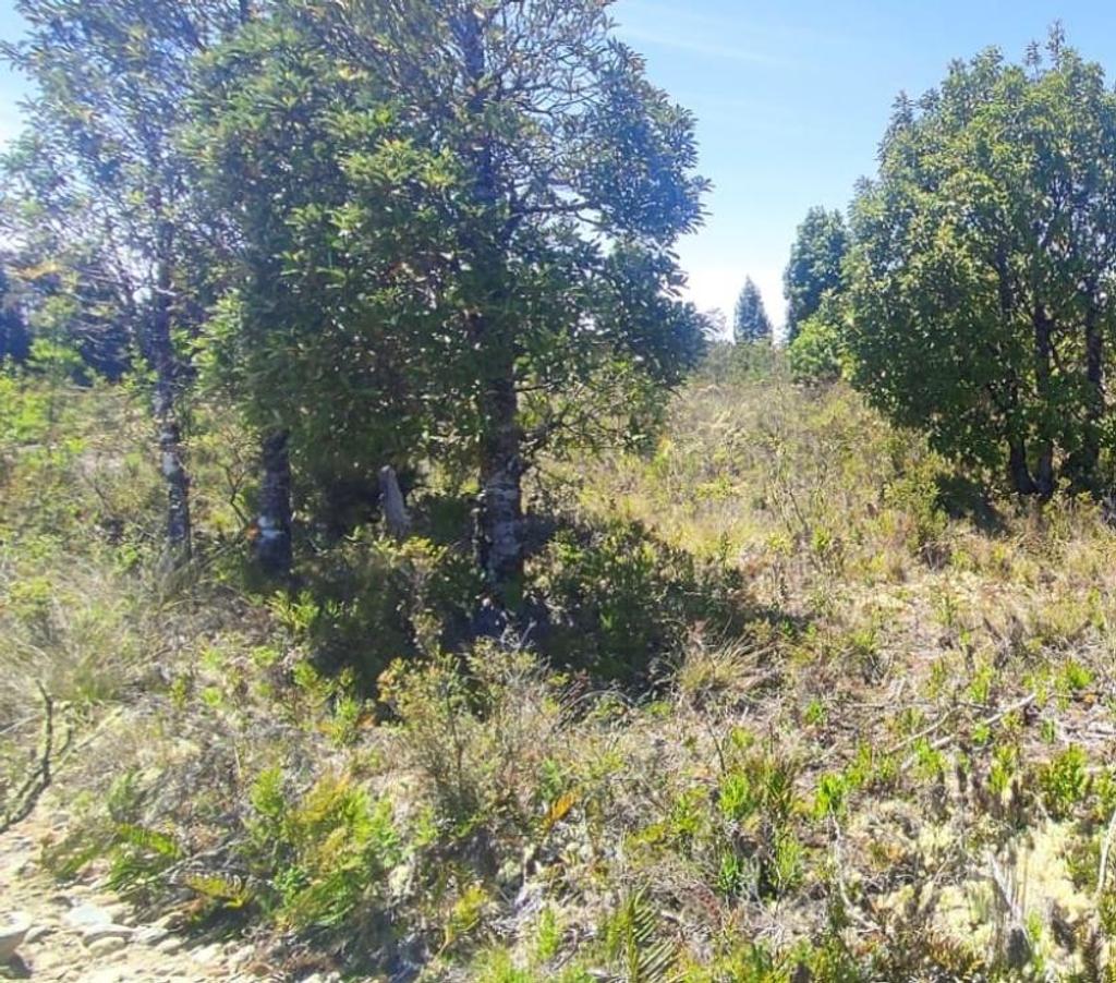 Parcelas en Venta Llanquihue Calbuco - Fotos de Invierte donde tu dinero crece