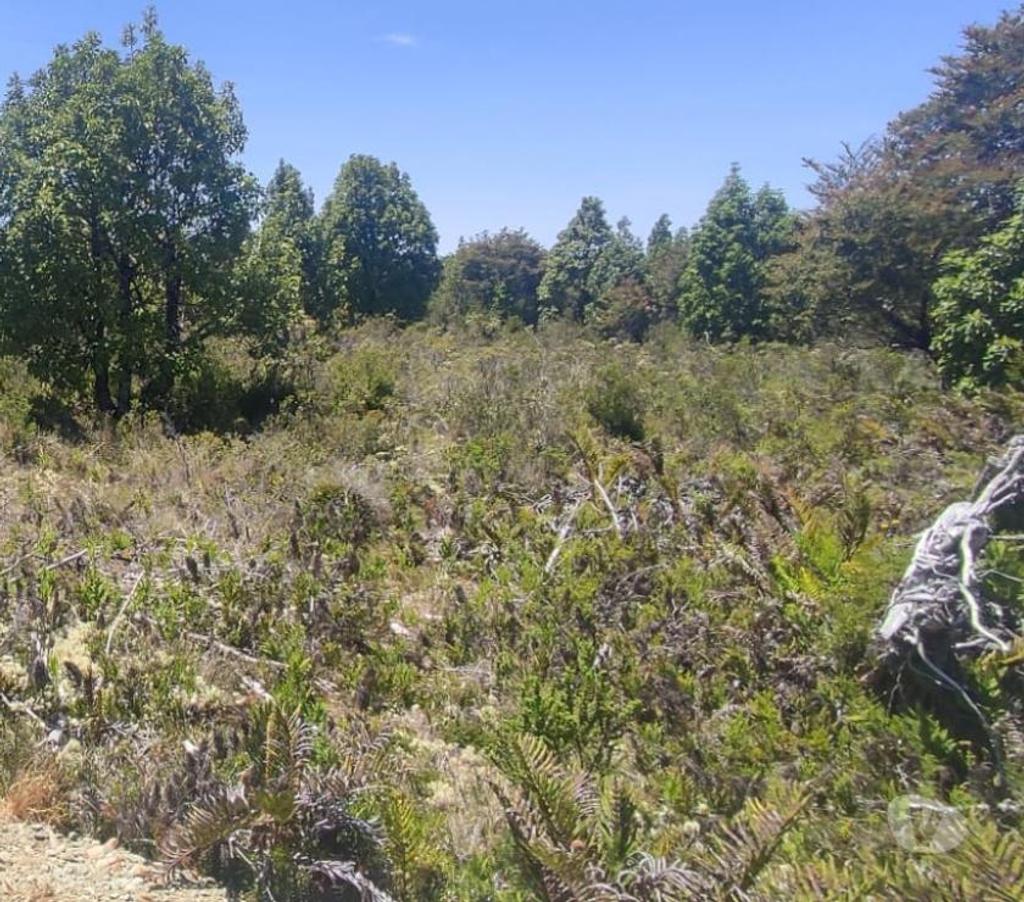 Parcelas en Venta Llanquihue Calbuco - Fotos de Invierte donde tu dinero crece