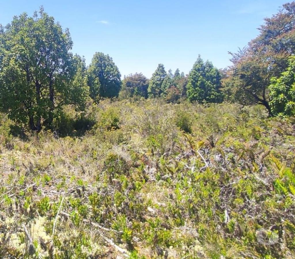 Parcelas en Venta Llanquihue Calbuco - Fotos de Invierte donde tu dinero crece