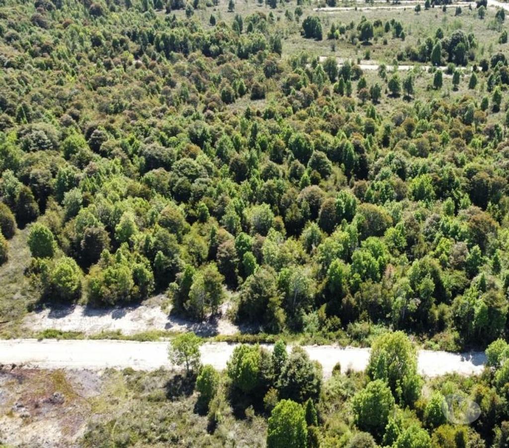 Parcelas en Venta Llanquihue Calbuco - Fotos de Invierte donde tu dinero crece