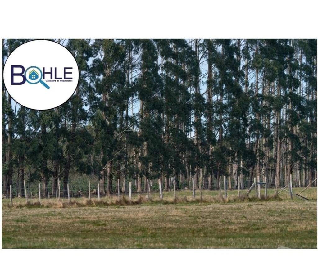 Parcelas en Venta Llanquihue Maullí - Fotos de VENDO – HERMOSAS PARCELAS EN MAULLÍN