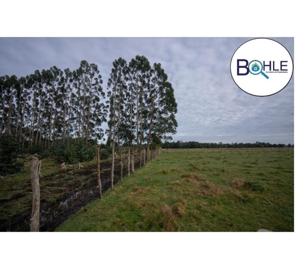 Parcelas en Venta Llanquihue Maullí - Fotos de VENDO – HERMOSAS PARCELAS EN MAULLÍN