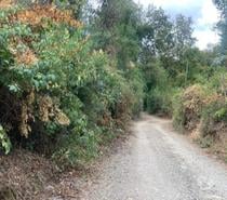 Fotos de Parcela en Vilches Alto de 5.000m2 Séptima Región