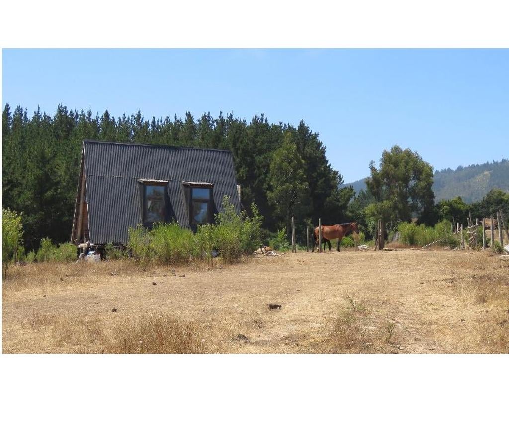 Parcelas en Venta Ñuble Cobquecura - Fotos de VALLE DE PULLAY