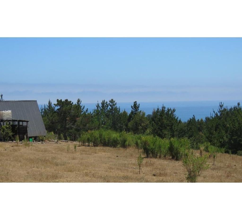 Parcelas en Venta Ñuble Cobquecura - Fotos de VALLE DE PULLAY