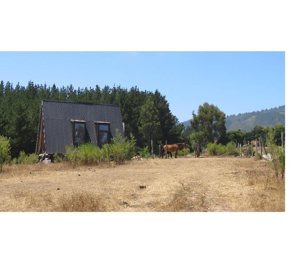 Parcelas en Venta Ñuble Cobquecura - Fotos de VALLE DE PULLAY