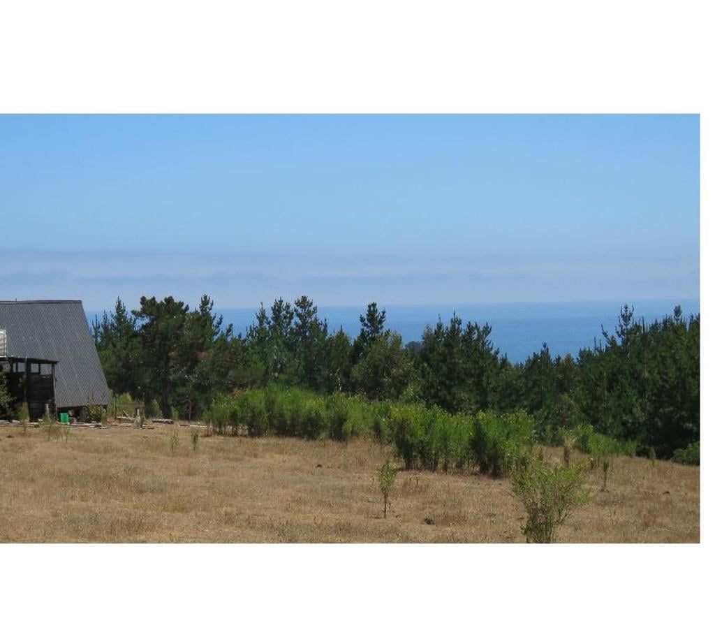 Parcelas en Venta Ñuble Cobquecura - Fotos de VALLE DE PULLAY