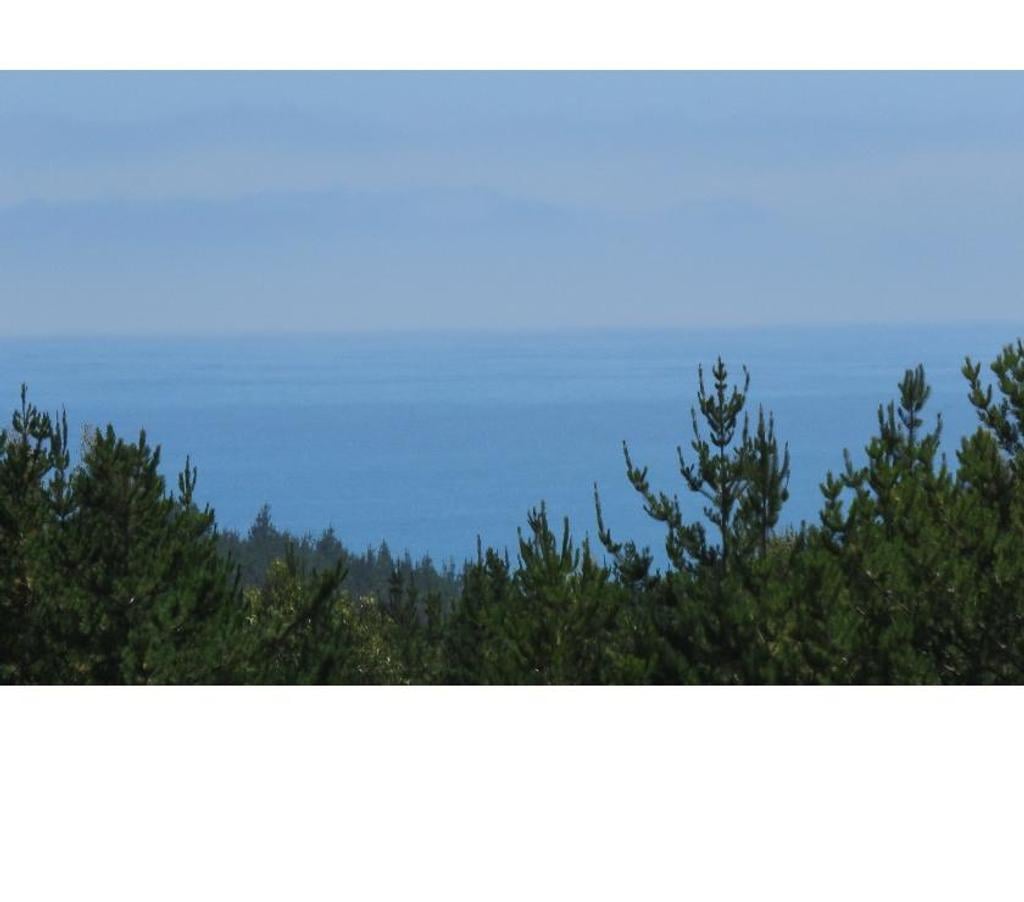 Parcelas en Venta Ñuble Cobquecura - Fotos de VALLE DE PULLAY