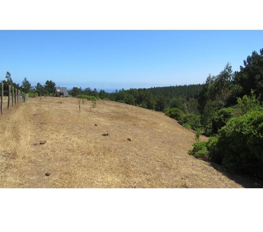 Parcelas en Venta Ñuble Cobquecura - Fotos de VALLE DE PULLAY