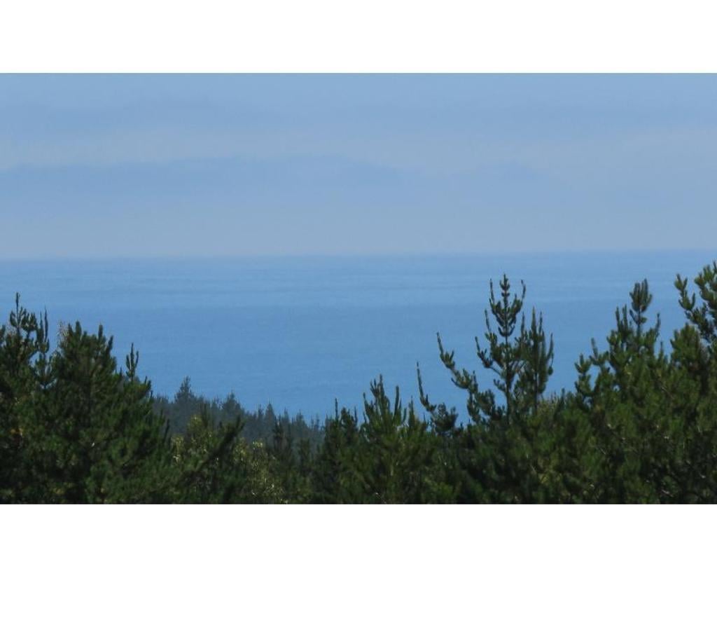 Parcelas en Venta Ñuble Cobquecura - Fotos de VALLE DE PULLAY