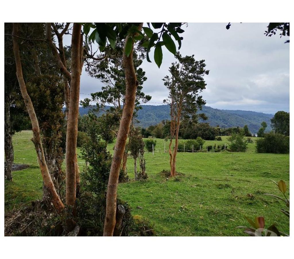 Parcelas en Venta Chiloé Queilén - Fotos de PARCELAS DE 0,5 HT