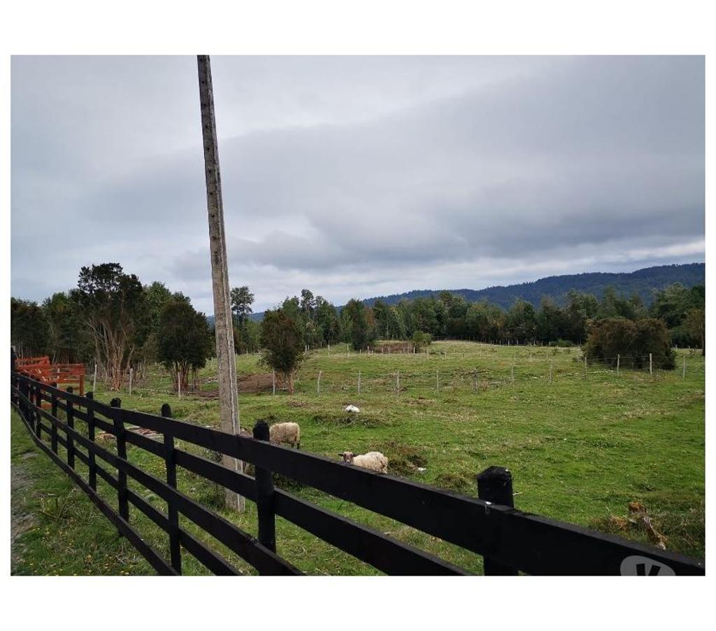 Parcelas en Venta Chiloé Queilén - Fotos de PARCELAS DE 0,5 HT