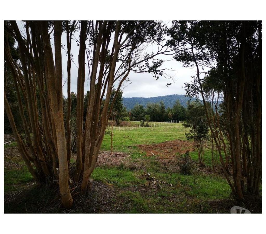 Parcelas en Venta Chiloé Queilén - Fotos de PARCELAS DE 0,5 HT