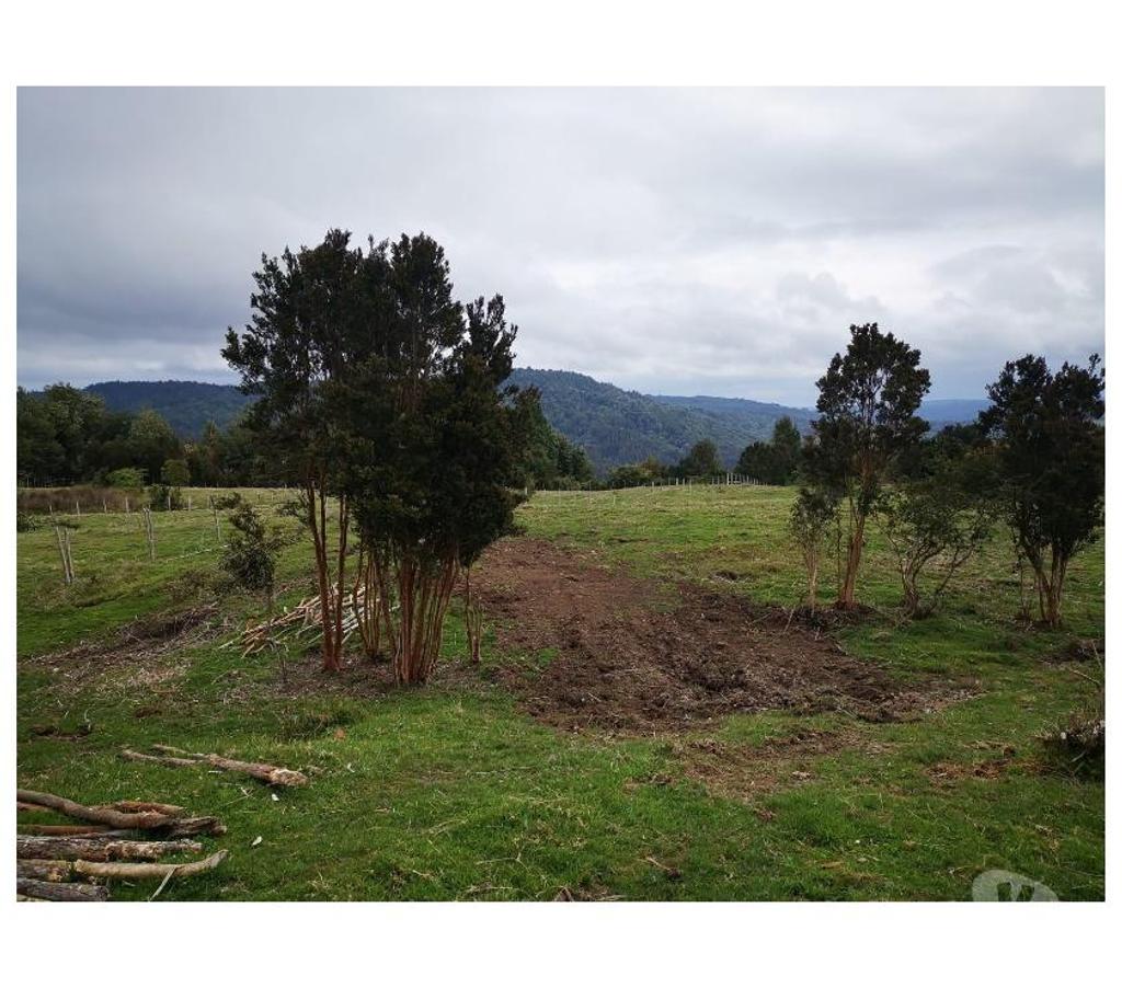 Parcelas en Venta Chiloé Queilén - Fotos de PARCELAS DE 0,5 HT