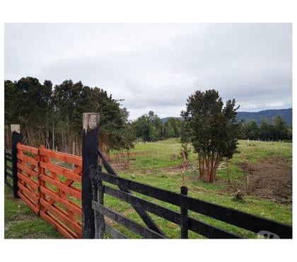 Parcelas en Venta Queilén Chiloé - Fotos de PARCELAS DE 0,5 HT