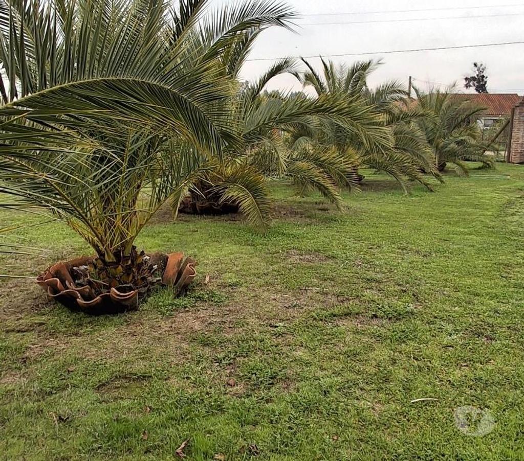 Parcelas en Venta Talca Maule - Fotos de NO BUSQUES MÁS AQUÍ ESTÁ TU PARCELA SOÑADA!!!!