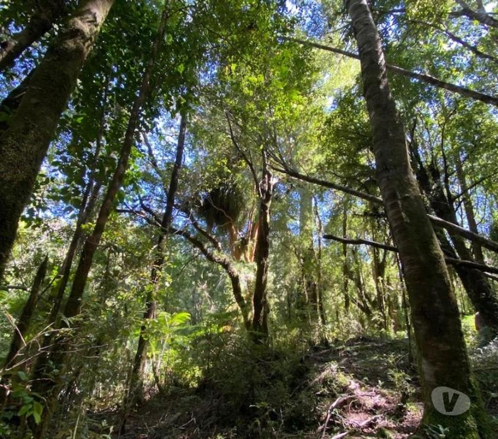 Parcelas en Venta Llanquihue Cochamó - Fotos de Hornopiren ,Terreno Orilla de Rio