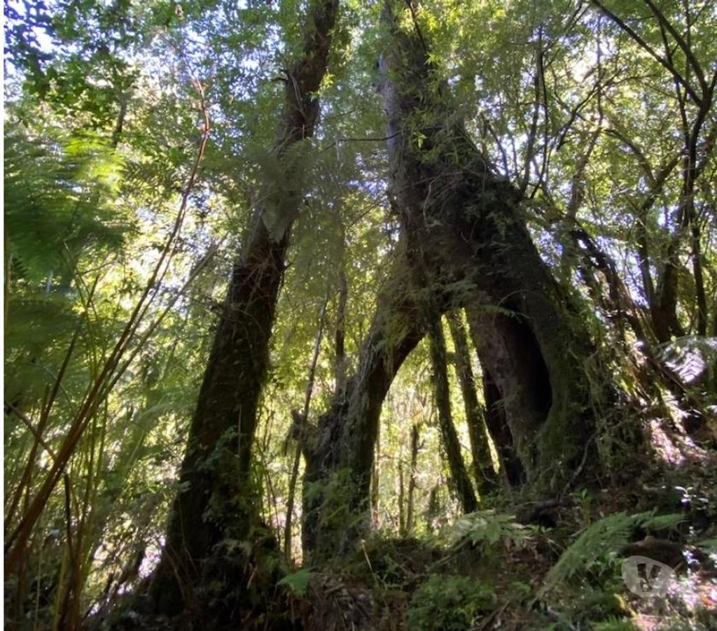 Parcelas en Venta Llanquihue Cochamó - Fotos de Hornopiren ,Terreno Orilla de Rio