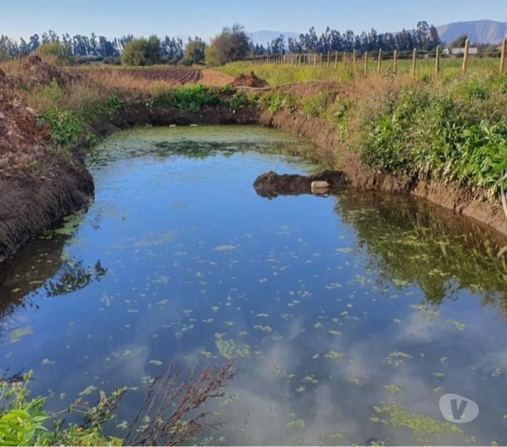 Parcelas en Venta Melipilla Melipilla - Fotos de Melipilla, Parcela agrícola 13,74 Hás.