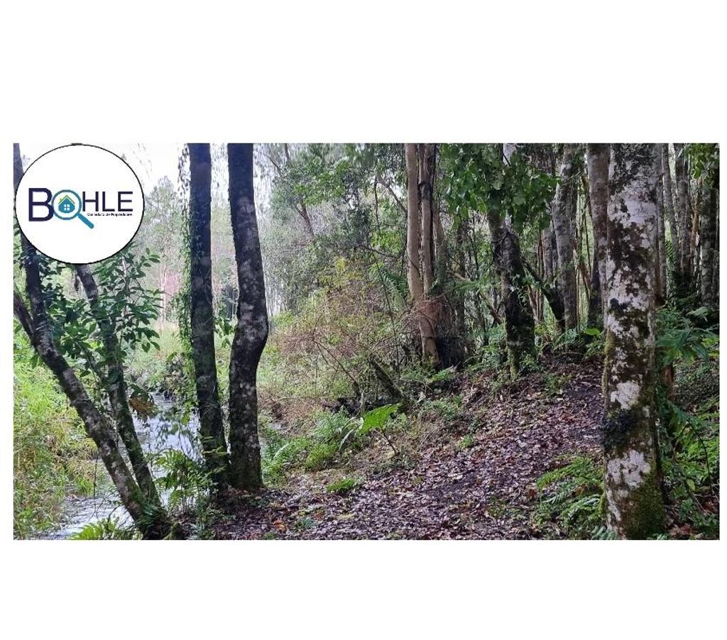 Parcelas en Venta Llanquihue Puerto Varas - Fotos de PARCELACIÓN EN RIO TEPÚ - ENSENADA