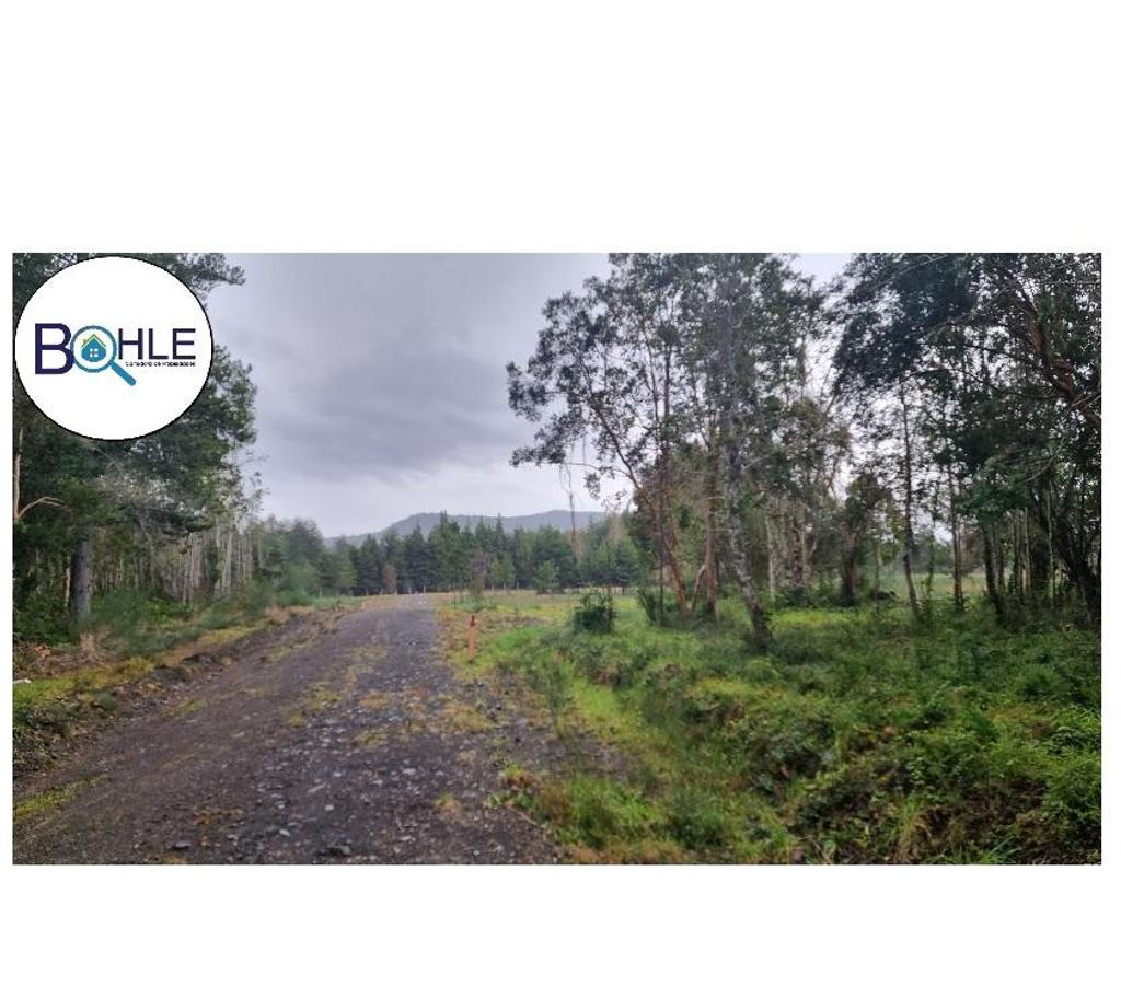 Parcelas en Venta Llanquihue Puerto Varas - Fotos de PARCELACIÓN EN RIO TEPÚ - ENSENADA