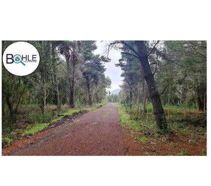 Parcelas en Venta Puerto Varas Llanquihue - Fotos de PARCELACIÓN EN RIO TEPÚ - ENSENADA