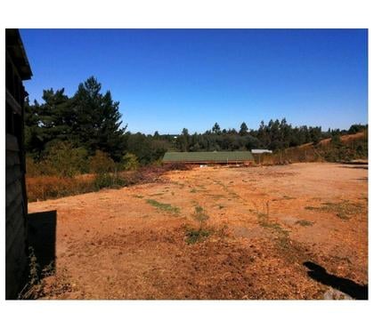 Parcelas en venta Chillán Ñuble - Fotos de Parcela en venta de 6000 m2, Quillón, Ñuble