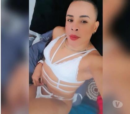Escorts Gay - Travestis Santiago Santiago - Fotos de Masajista profesional dominicano