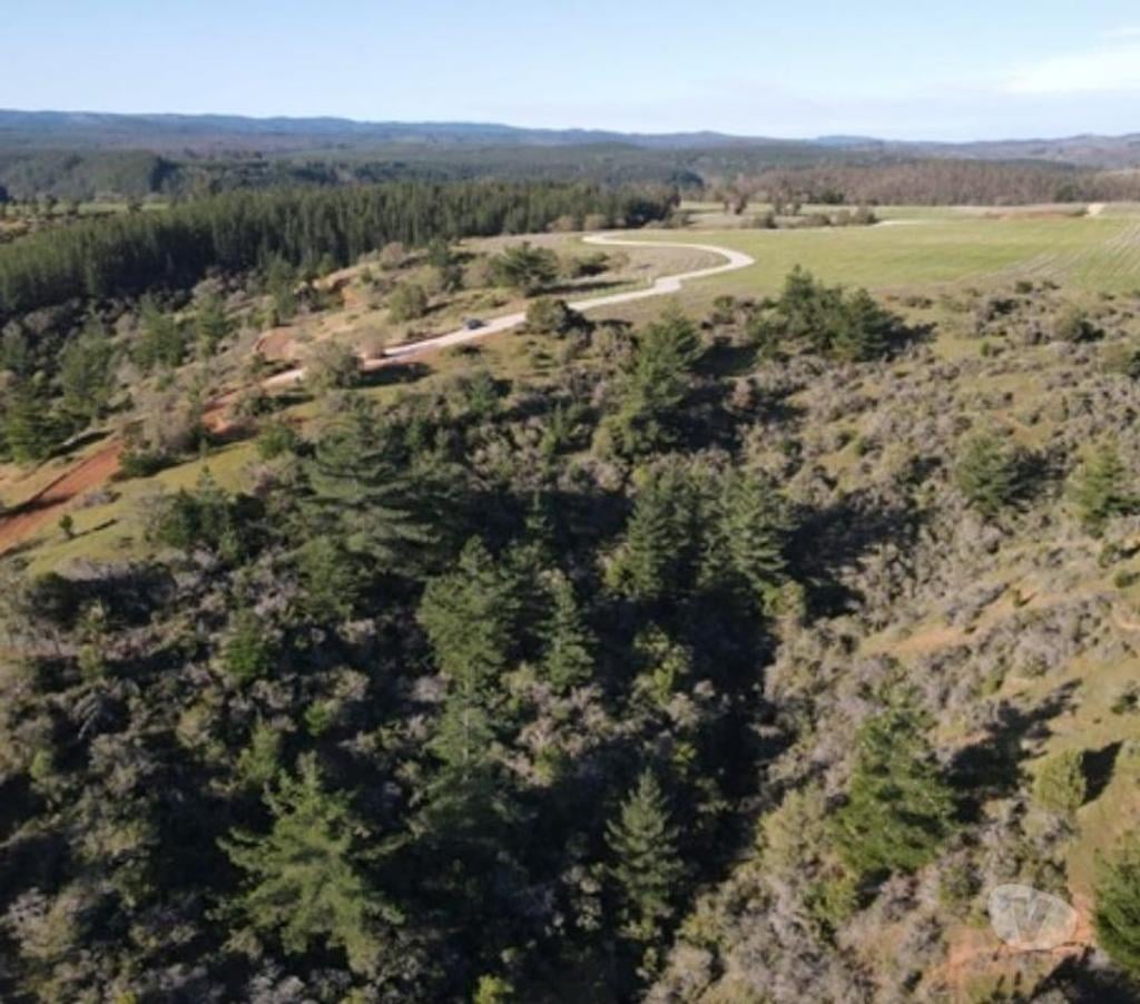 Parcelas en Venta Cardenal Caro Pichilemu - Fotos de Terreno Vista Cuarzo , Pichilemu