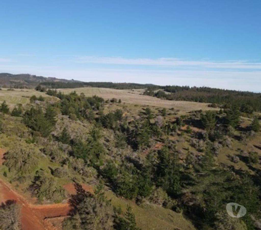 Parcelas en Venta Cardenal Caro Pichilemu - Fotos de Terreno Vista Cuarzo , Pichilemu