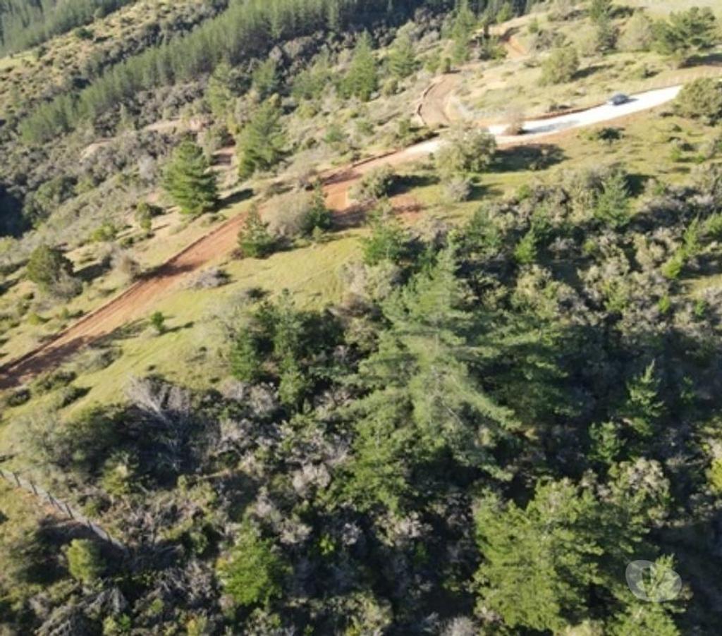 Parcelas en Venta Cardenal Caro Pichilemu - Fotos de Terreno Vista Cuarzo , Pichilemu
