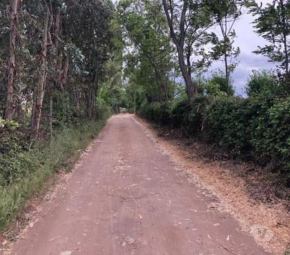 Terrenos San Fernando Colchagua - Fotos de Venta de Parcelas de Agrado