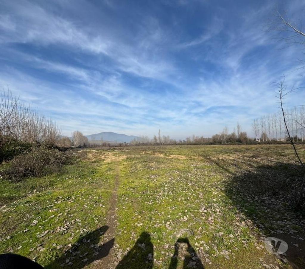 Parcelas en Venta Cachapoal Coltauco - Fotos de Terreno Agrícola Coltauco