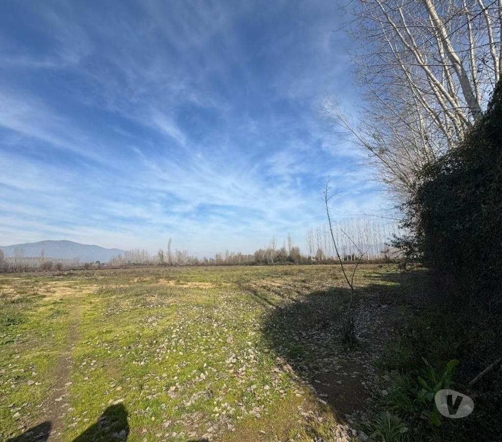Parcelas en Venta Cachapoal Coltauco - Fotos de Terreno Agrícola Coltauco