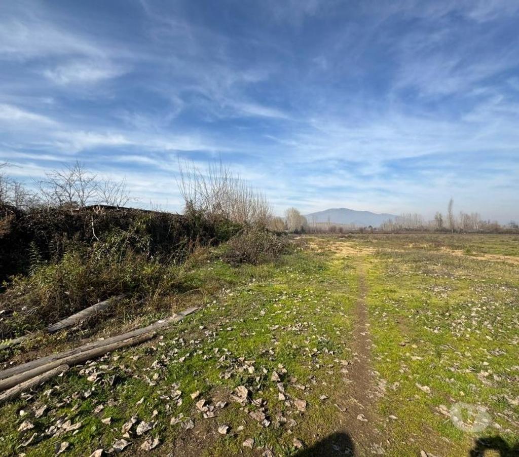 Parcelas en Venta Cachapoal Coltauco - Fotos de Terreno Agrícola Coltauco
