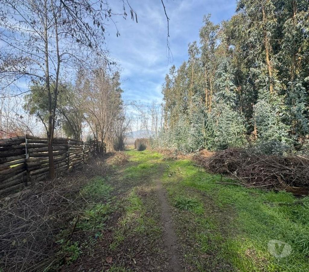Parcelas en Venta Cachapoal Coltauco - Fotos de Terreno Agrícola Coltauco