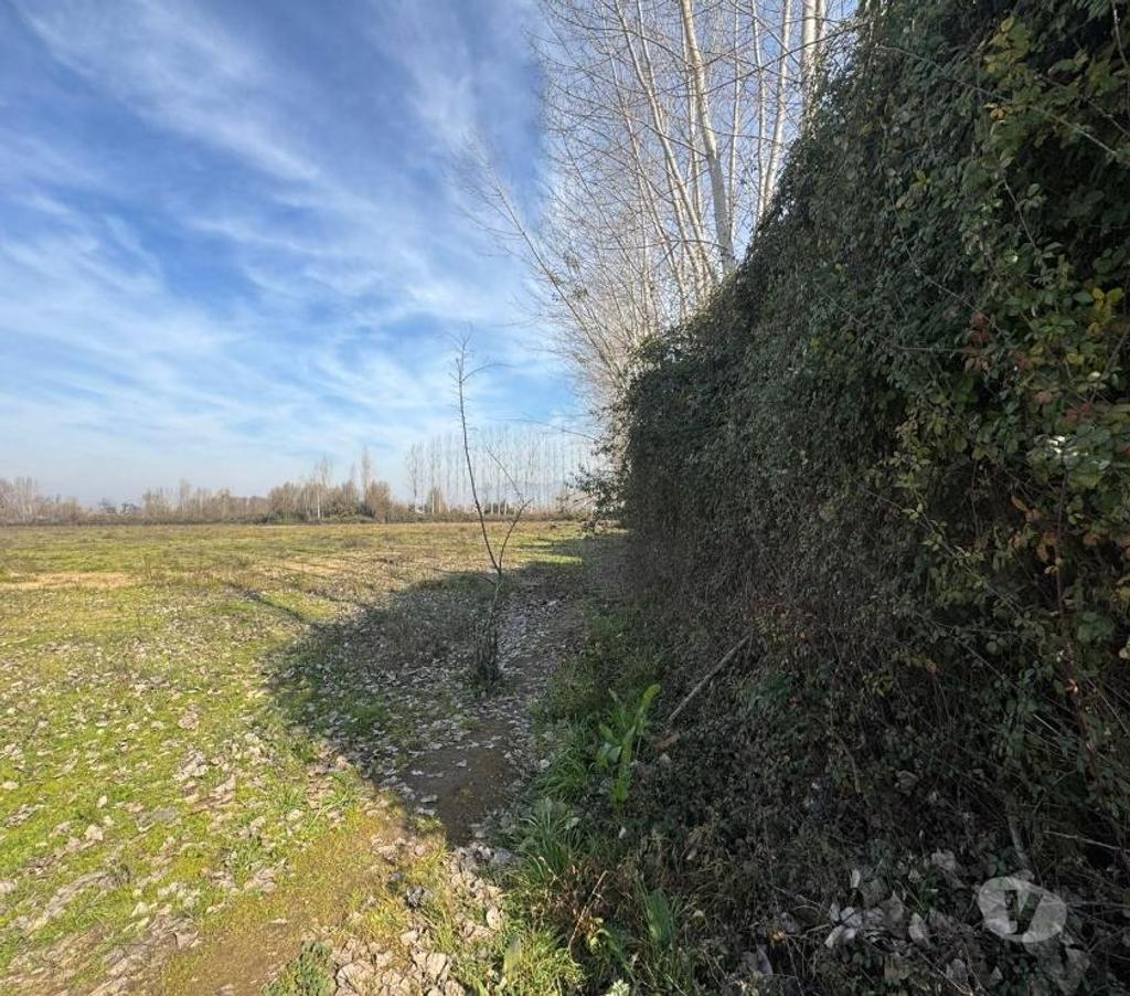 Parcelas en Venta Cachapoal Coltauco - Fotos de Terreno Agrícola Coltauco