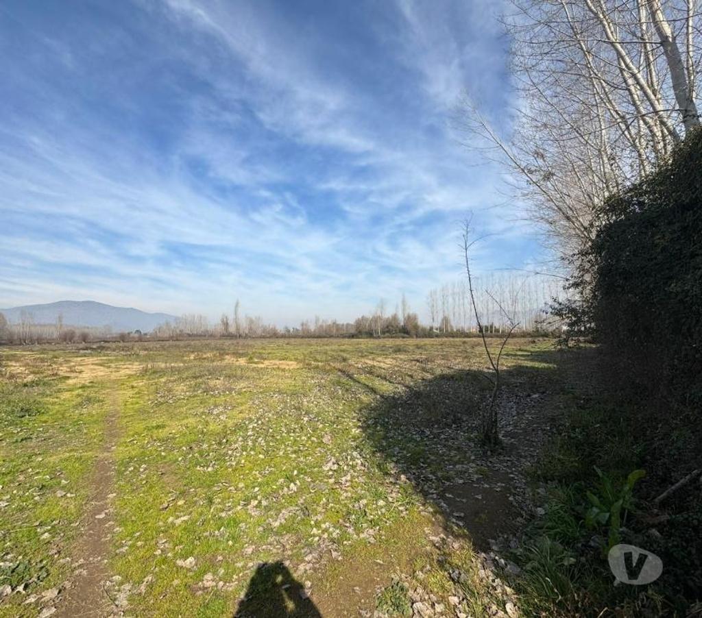 Parcelas en Venta Cachapoal Coltauco - Fotos de Terreno Agrícola Coltauco