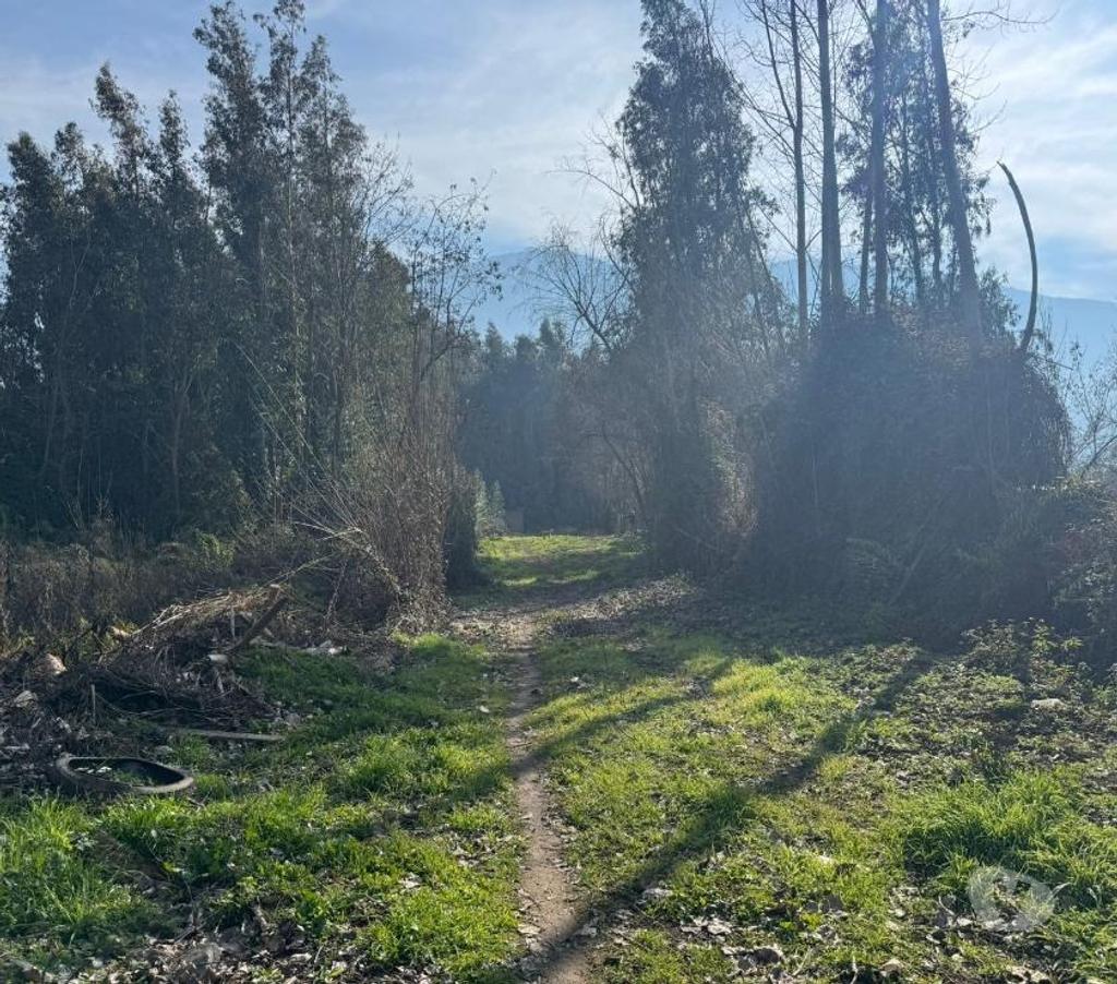 Parcelas en Venta Cachapoal Coltauco - Fotos de Terreno Agrícola Coltauco