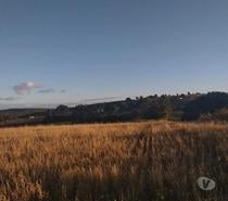 Fotos de VENTA DE 36 HECTAREAS EN COMUNA DE FRESIA.