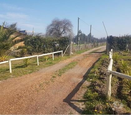 Terrenos Buin Maipo - Fotos de Viluco-Buin, parcela con casa.