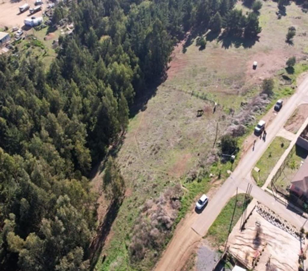 Parcelas en Venta Cardenal Caro Pichilemu - Fotos de Terreno Cerro La Cruz , Pichilemu