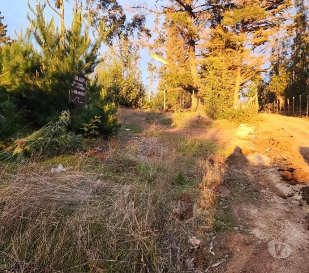 Parcelas en Venta Cardenal Caro Pichilemu - Fotos de Terreno Sector El Molino , Pichilemu