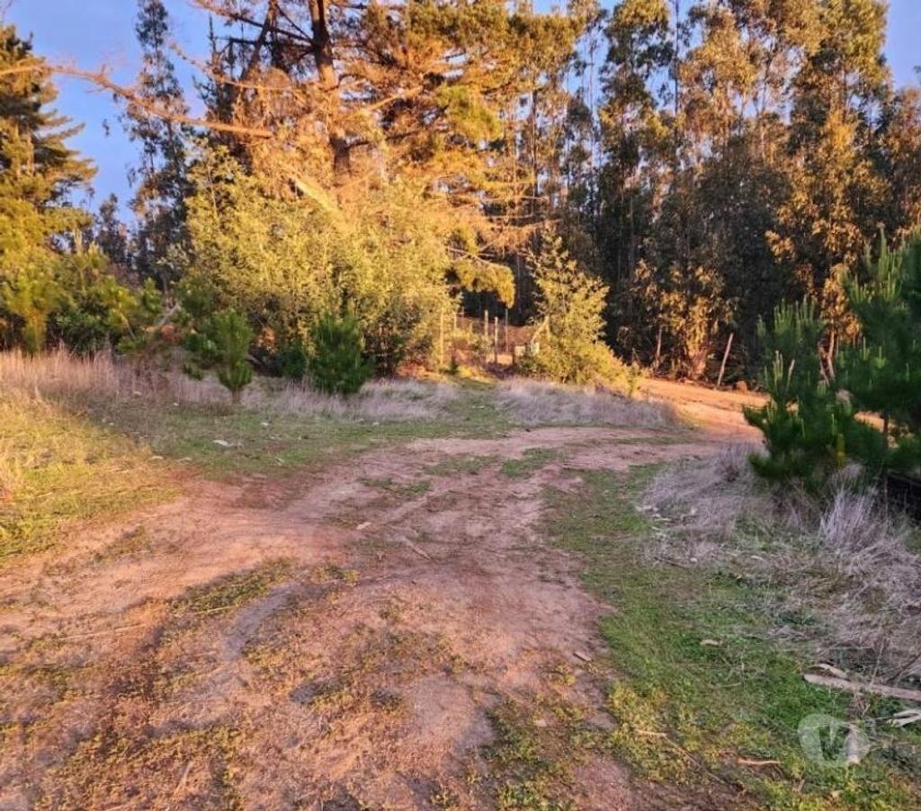 Parcelas en Venta Cardenal Caro Pichilemu - Fotos de Terreno Sector El Molino , Pichilemu