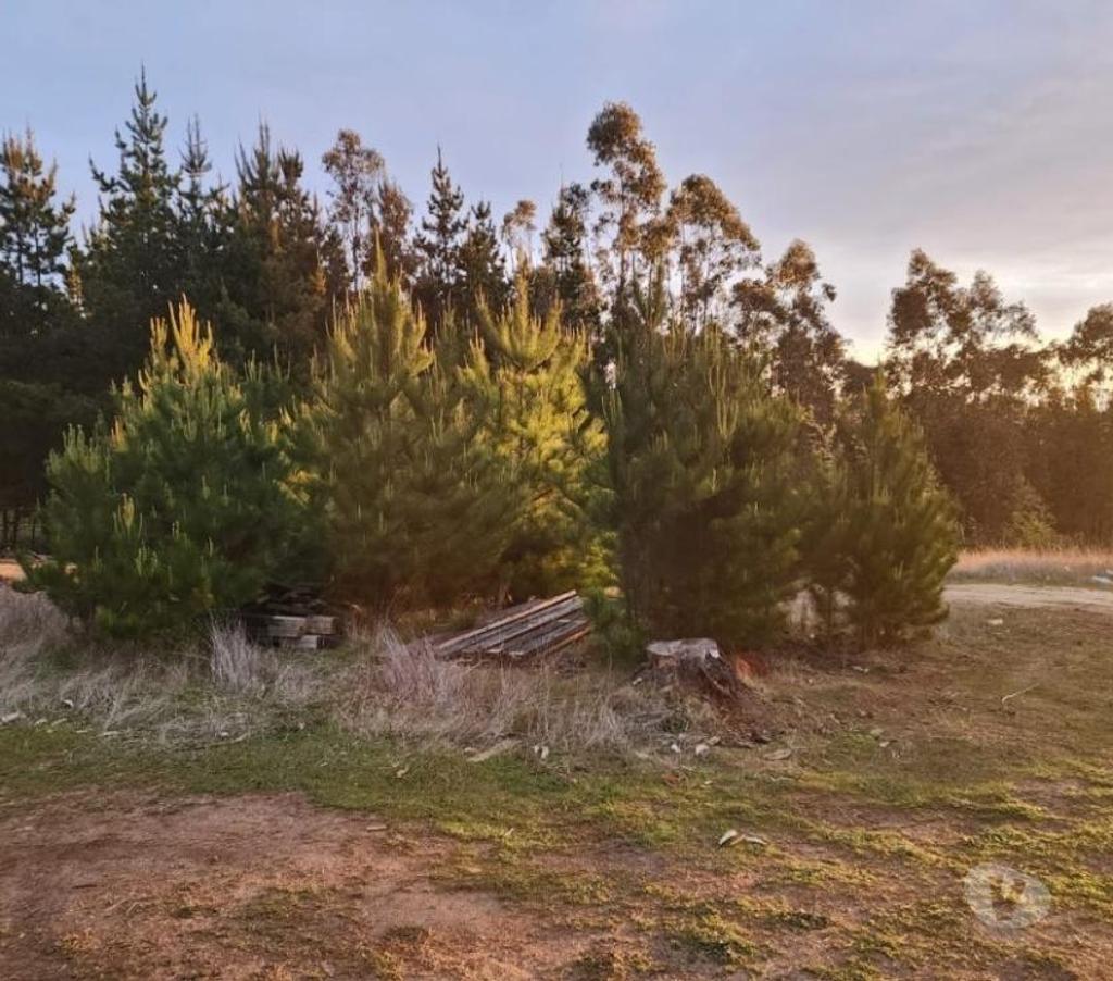 Parcelas en Venta Cardenal Caro Pichilemu - Fotos de Terreno Sector El Molino , Pichilemu