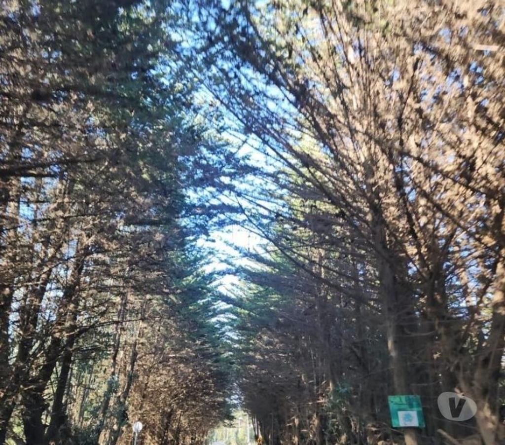 Parcelas en Venta Cardenal Caro Pichilemu - Fotos de Terreno Sector El Molino , Pichilemu